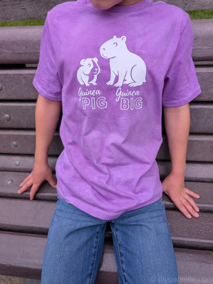Homemade DIY capybara shirt laid out as a fun birthday party favor for kids.