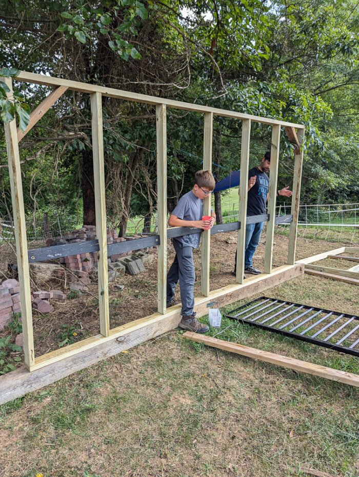 Framed wall sections of a DIY run-in shed being moved and assembled on a grassy slope.