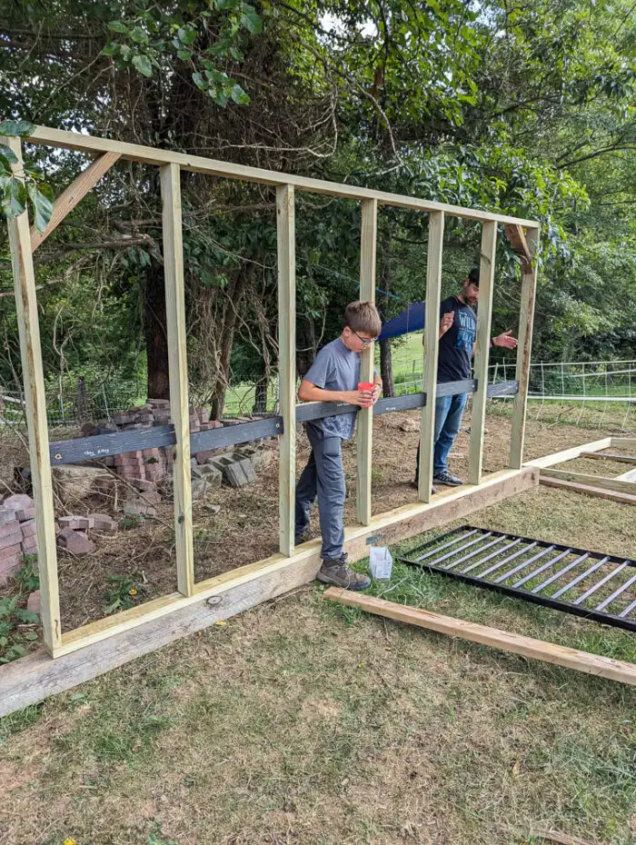 Framed wall sections of a DIY run-in shed being moved and assembled on a grassy slope.