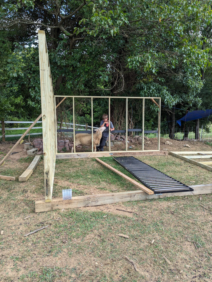 Family members working together to assemble a DIY run-in shed frame on a grassy slope.