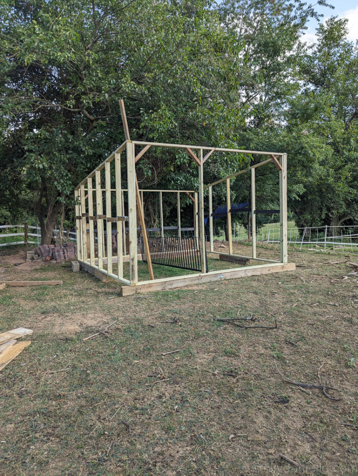 Fully assembled wooden frame of a run-in shed without a roof, standing on a grassy area.