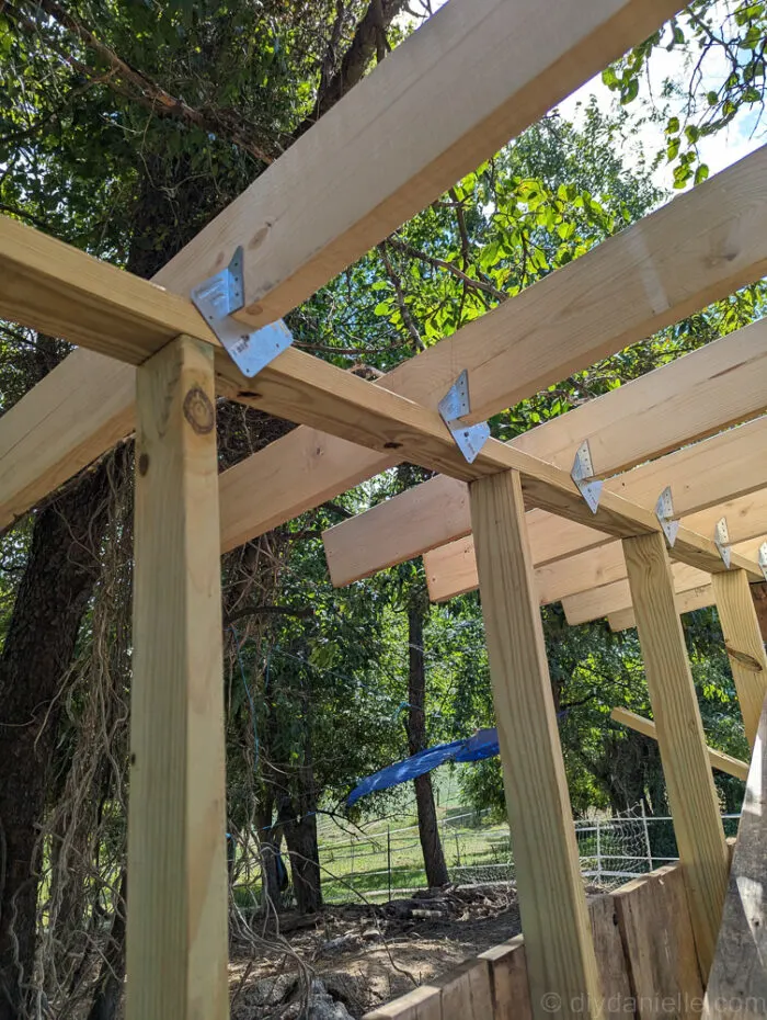 Person framing the roof of a run-in shed while standing on scaffolding for safety and ease.