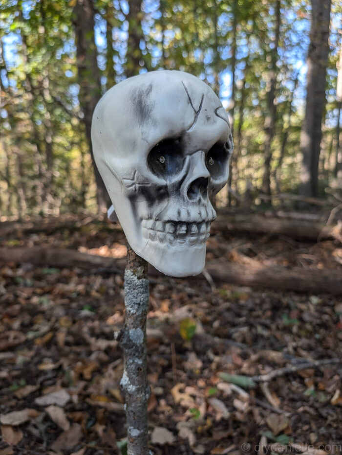 Close-up of lit skull on stick placed along outdoor Halloween trail.
