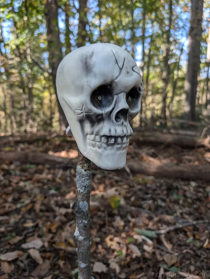 Close-up of lit skull on stick placed along outdoor Halloween trail.
