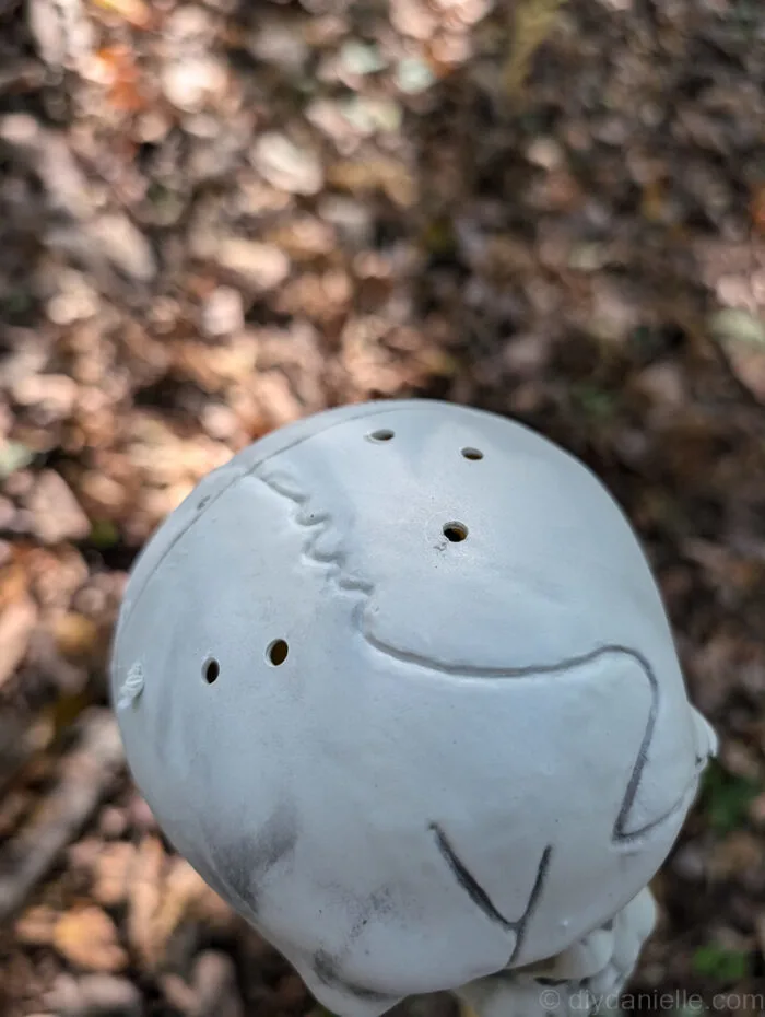 Plastic skull with a hole drilled at the bottom for light insertion.