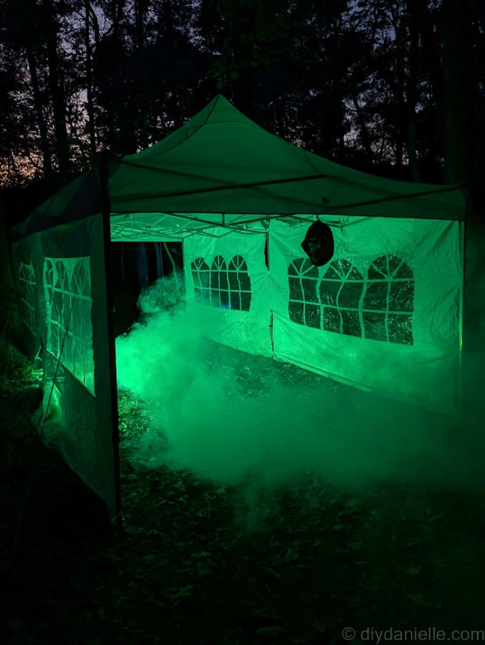 Halloween swamp scene with hanging decorations and green lasers creating an immersive, watery effect.