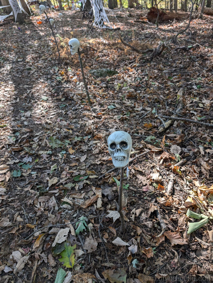 Plastic skull mounted on a stick along a Halloween trail during daylight.