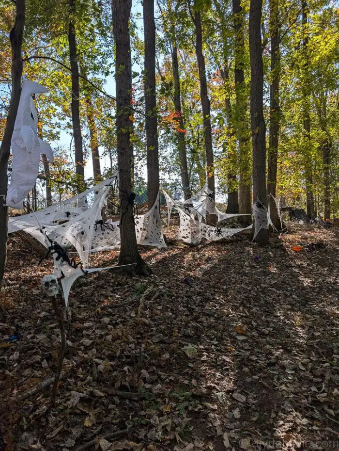 White butcher cloth stretched and cut to look like spiderwebs decorating a Halloween display.