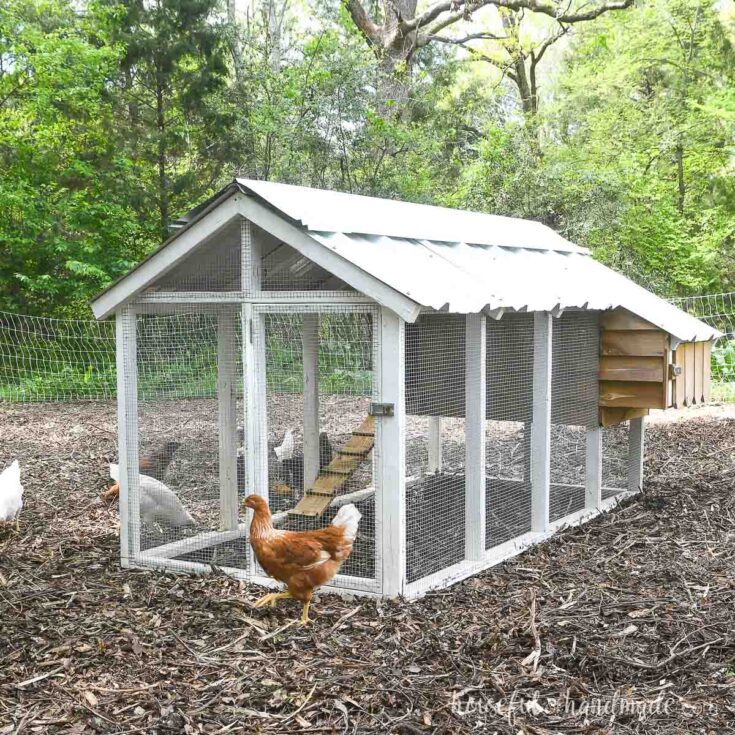 Image for Simple Chicken Coop Build Plans