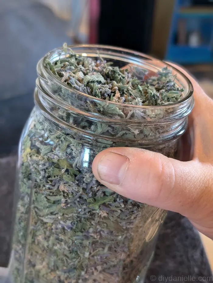 Mason jar filled with dried catnip stored on a shelf, ready for DIY cat toy projects