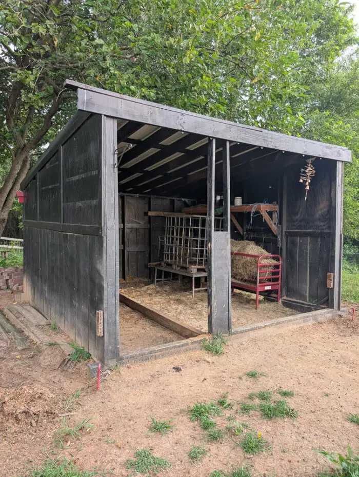 Left side view of a fenced outdoor run connected to a run-in shed on a sunny day.