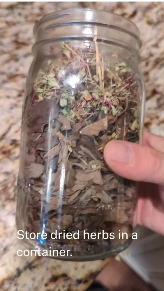 Dried herbs stored in glass jars for use in chicken coop bedding during winter months.