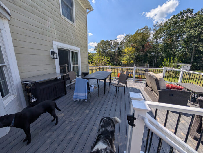 Deck with dogs on it showing everyday use and muddy paw prints.