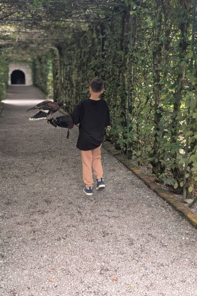 Eight-year-old child holding a bird of prey during the Hawk Walk experience at Ashford Castle, Ireland.