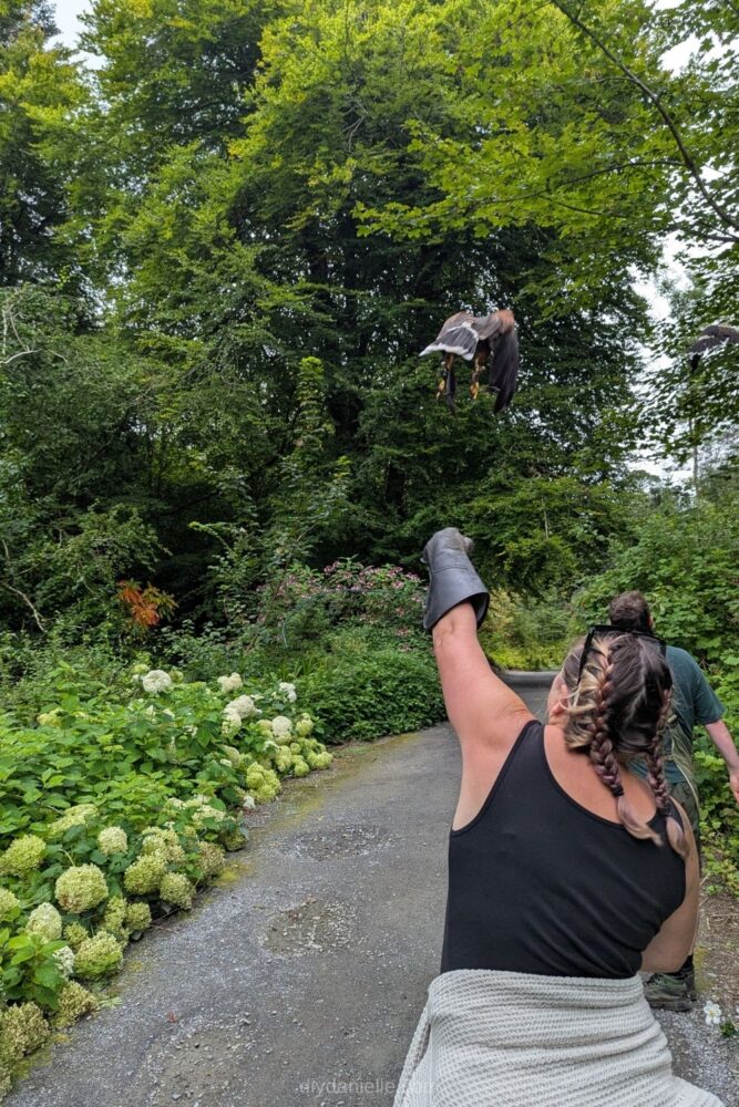 Person participating in the Hawk Walk at Ashford Castle, Ireland, holding a bird of prey on their gloved hand.