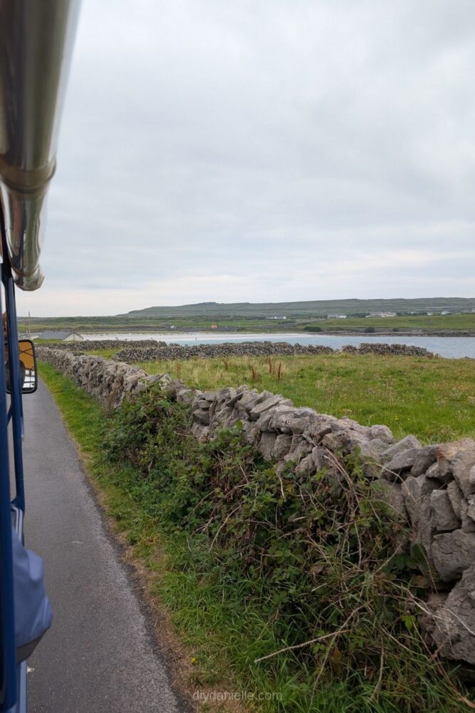 View of Inis Mór island from a horse-drawn carriage ride, showcasing lush greenery and coastline.