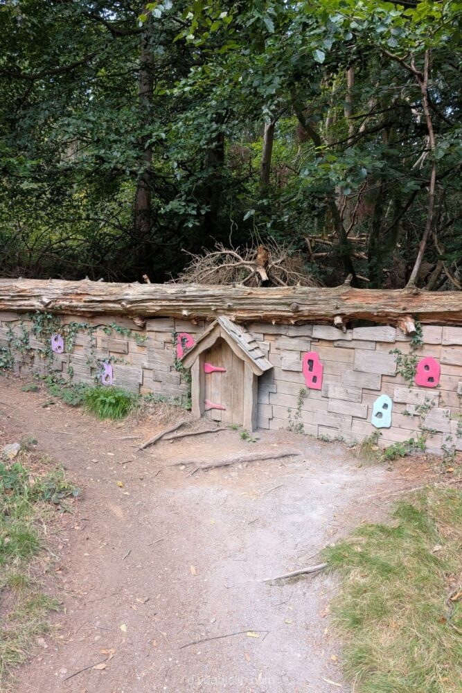 Children hiking the shorter Fairy and Giant Trail along the Ring of Gullion in Northern Ireland, surrounded by lush greenery.