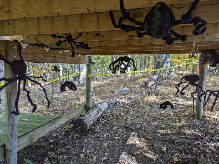 Halloween setup with black lights, hanging spiders, and a large jumping spider prop designed to scare guests.