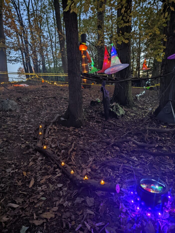 Trio of trees decorated for Halloween with witch decorations and glowing hats hanging from fishing line, creating a spooky fort for kids.