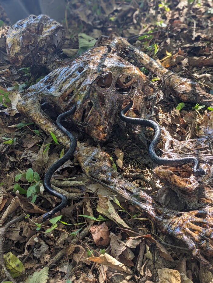 Halloween jump scare with graveyard props and shovel, catching trick-or-treaters off guard.