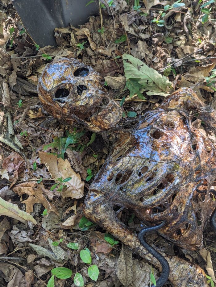 Kids entering a spooky graveyard as a person prepares a Halloween jump scare.