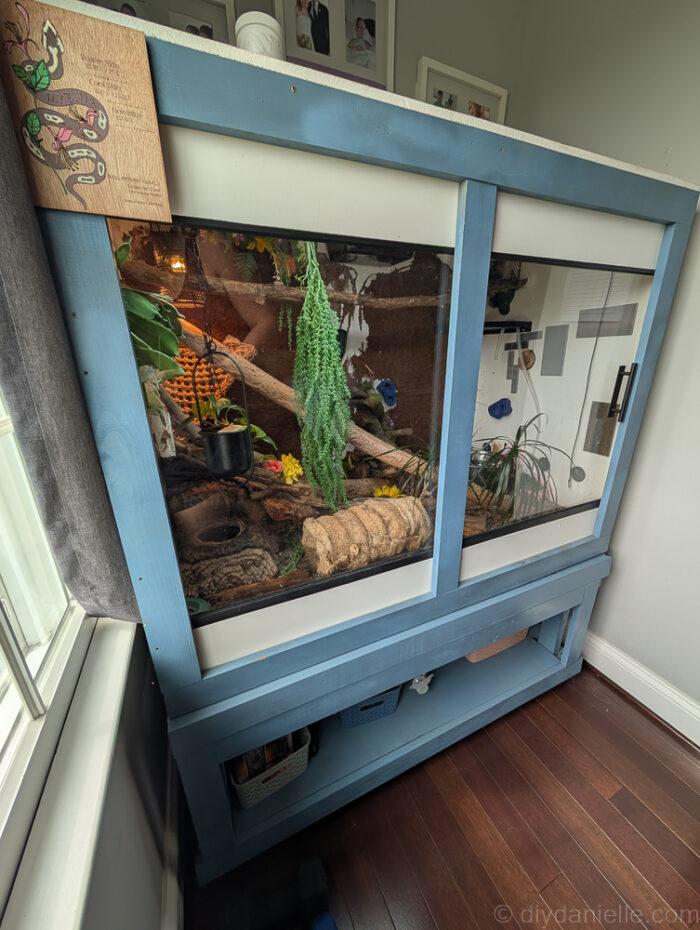 DIY Bioactive Reptile Enclosure for a Ball Python - DIY Danielle®