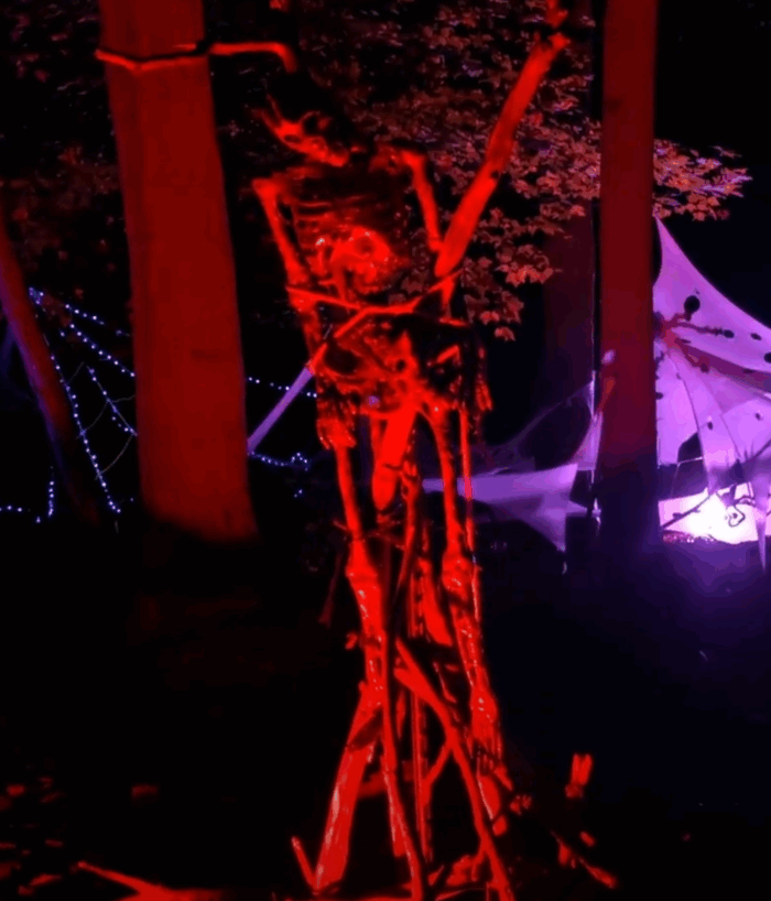 Blurry photo of a simple DIY Halloween decoration project inspired by a Facebook group, showing a quick and easy setup.