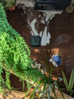 DIY Bioactive Reptile Enclosure for a Ball Python - DIY Danielle®