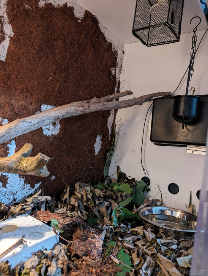 DIY reptile enclosure with climbing structures and enrichment elements for a ball python&rsquo;s activity.