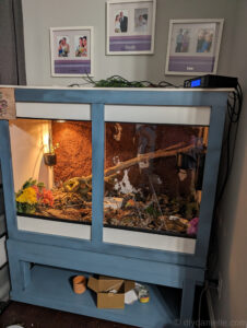 DIY Reptile Enclosure for a Ball Python Enclosure (4'x2'x3') - DIY ...