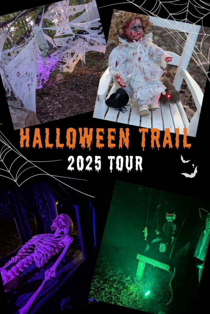 Nighttime view of the 2025 Halloween Trail with glowing decorations, skeletons, and animatronics creating a spooky outdoor scene.