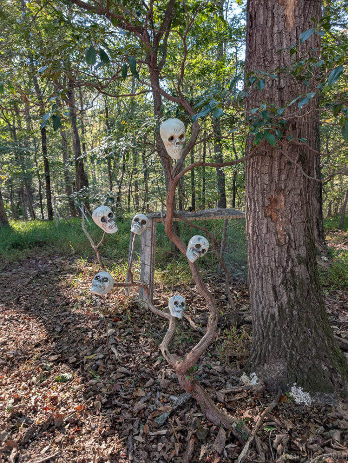 Halloween display of heads on sticks lining a path, each illuminated with small lights inside.