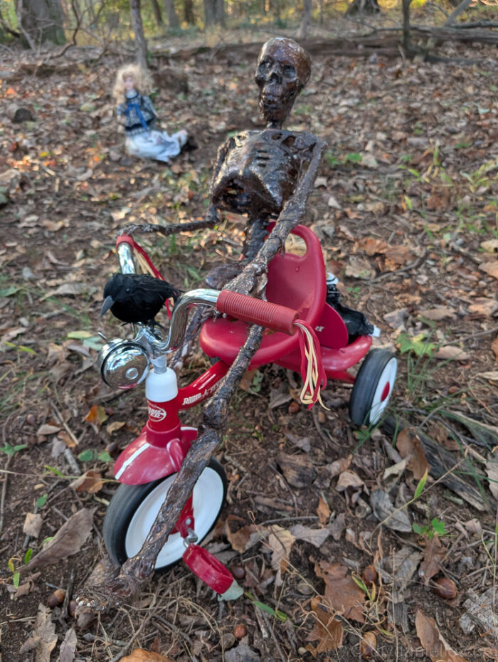 Creepy tricycle setup featuring a skeleton rider and a baby doll in the rear seat for Halloween décor.