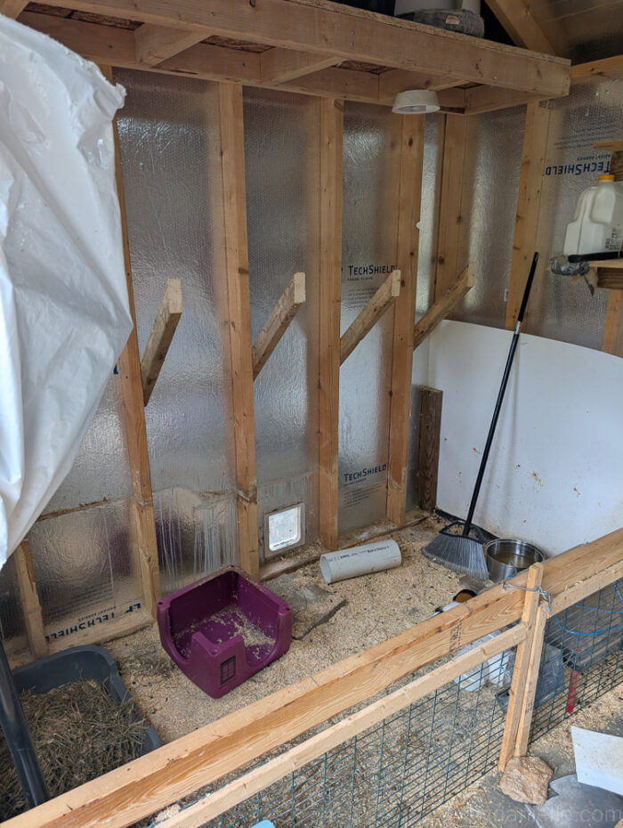 Installing 2x2 wood supports on wall studs with screws to create the base for a wall mounted hay feeder.