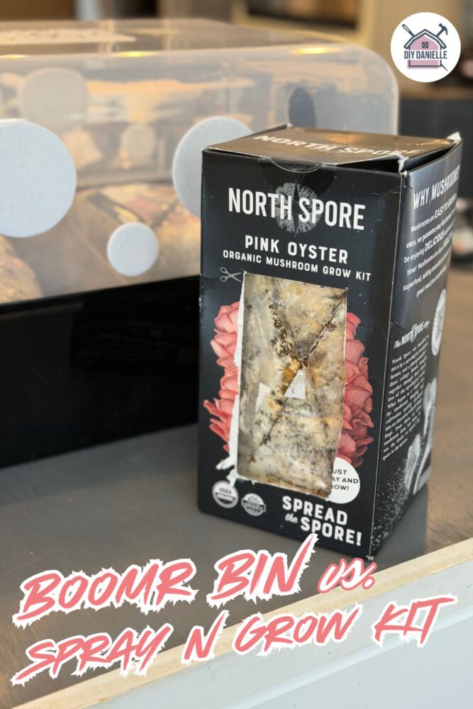 Boomr Bin vs. Spray and Grow Kit from North Spore comparison in this blog post. Picture includes the Boomr bin next to the pink oyster spray and grow kit. 