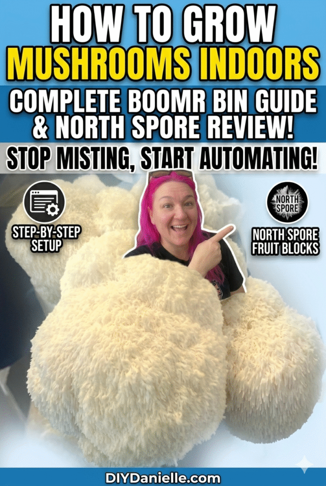 Text: How to Grow Mushrooms Indoors: Complete Boomr Bin Guide and North Spore review. Stop misting start automating.Step by step setup. North spore fruit blocks. DIYDanielle.com

Photo of a white women with pink hair pointing at the North Spore text overlayed over some Lions Mane mushrooms that were grown in a Boomr Bin.