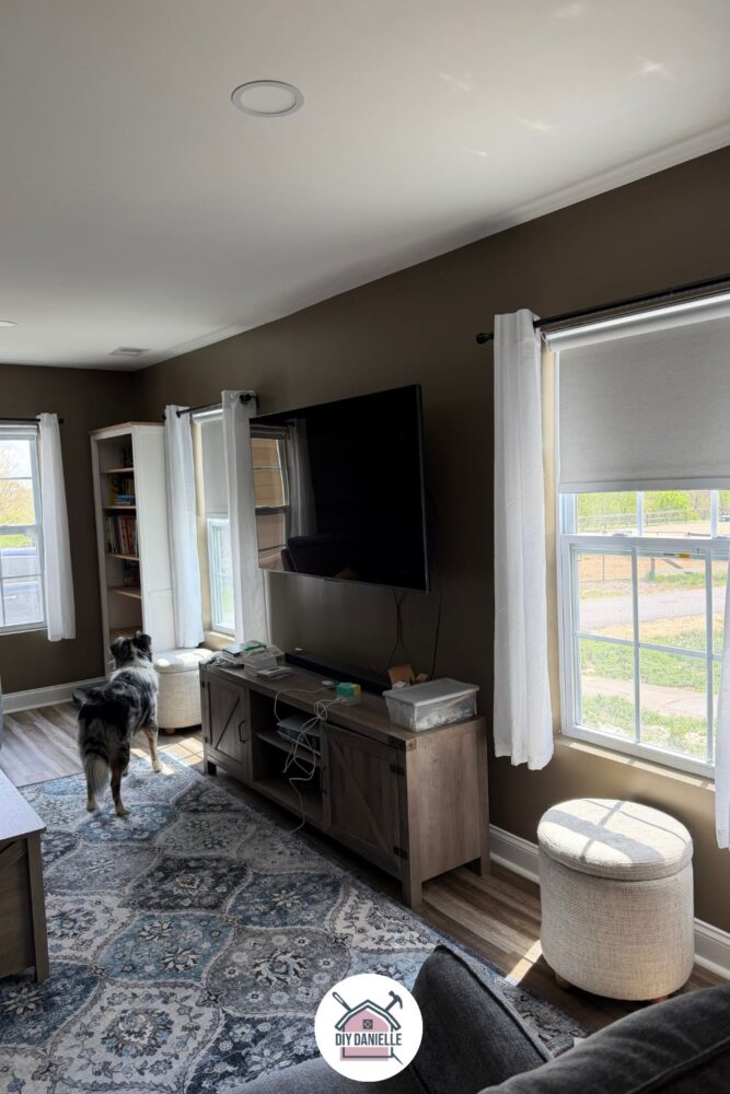 SmartWings Smart Roller Blinds in White, attached using interior mount method, in our family room. There is a tv, an Australian Shepherd mix, and a bookshelf in the image as well. The blinds are down about 25% of the way and it's bright and sunny outside.